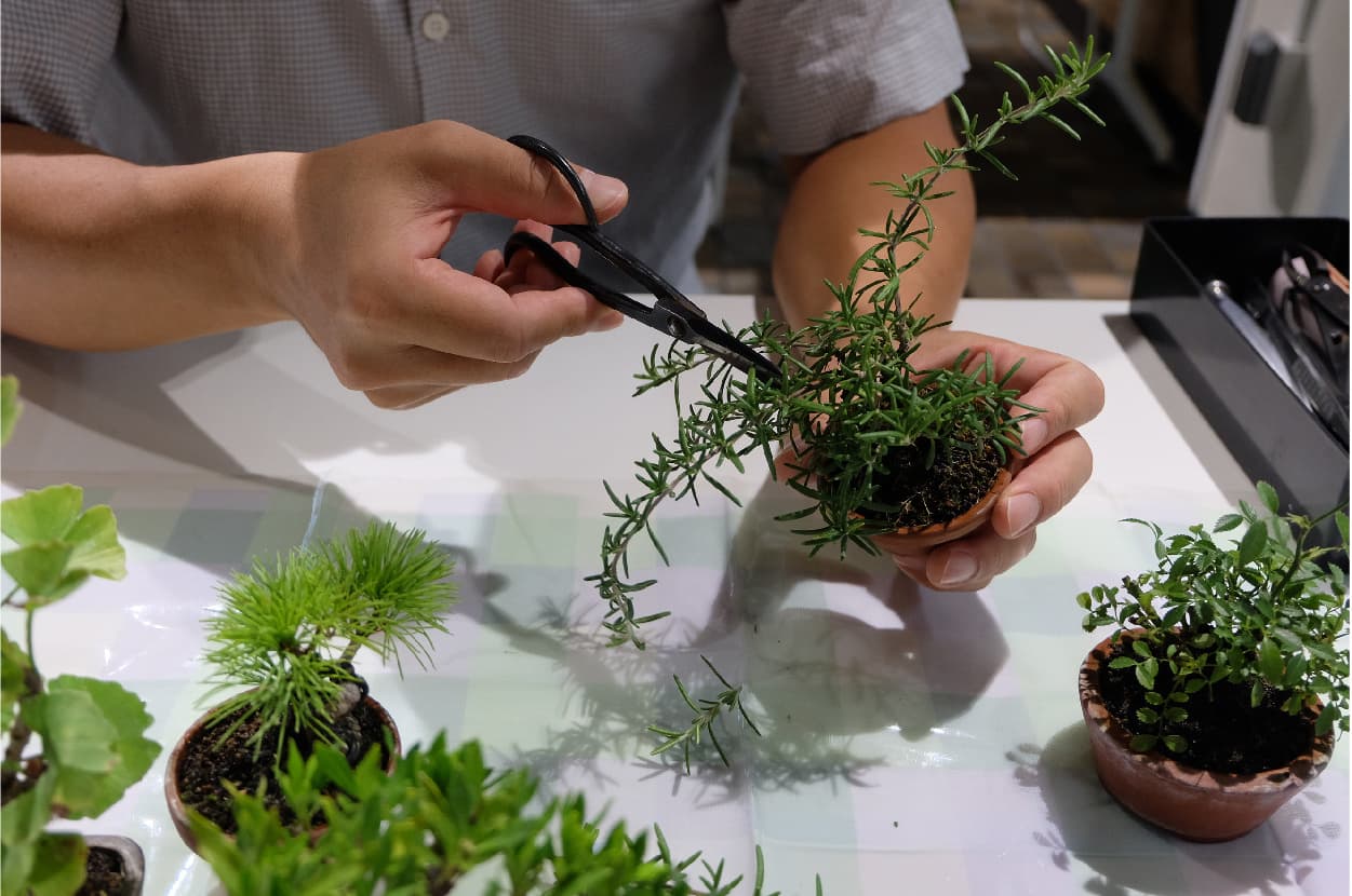 まもりやマガジントップ写真